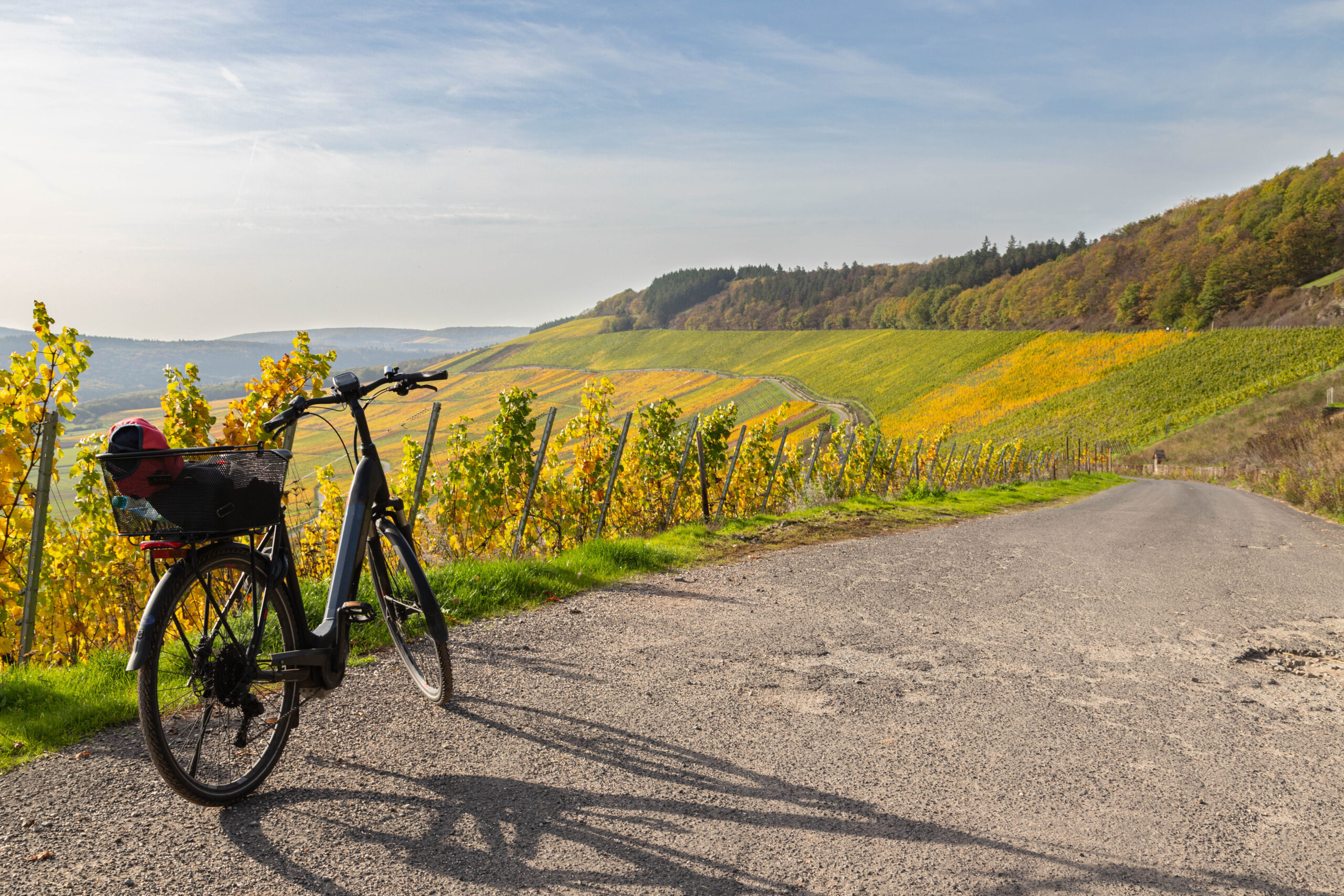 The Prosecco Vineyards Loop
